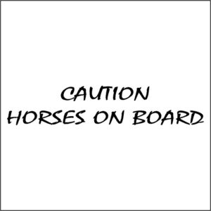 Graphic for horsebox CAUTION HORSE ON BOARD mistral font
