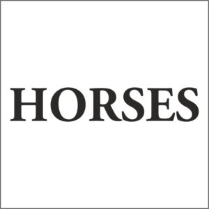 horsebox graphic